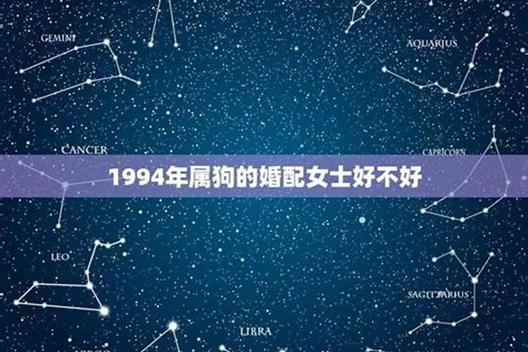 两个1994年属狗结婚好不好