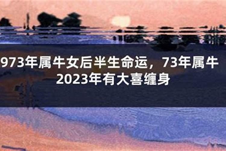 73年属牛女人今年感情