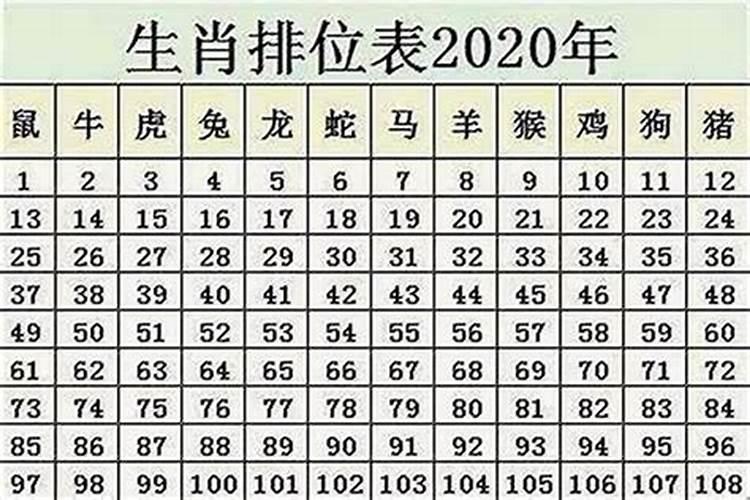 生肖鼠最新消息