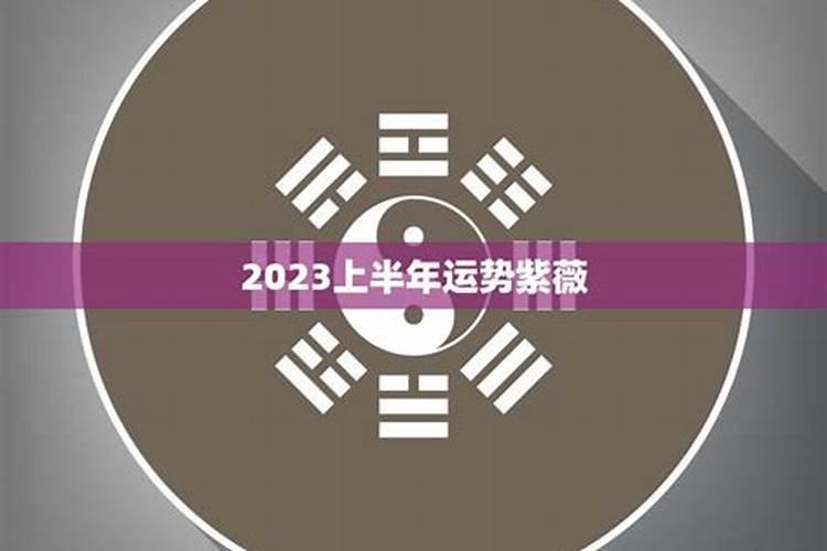 2020年下半年紫薇运势