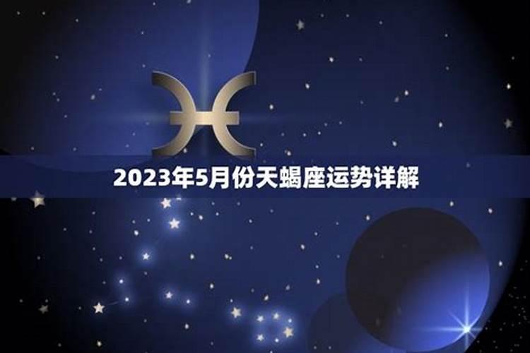 属猪天蝎座2023年运势