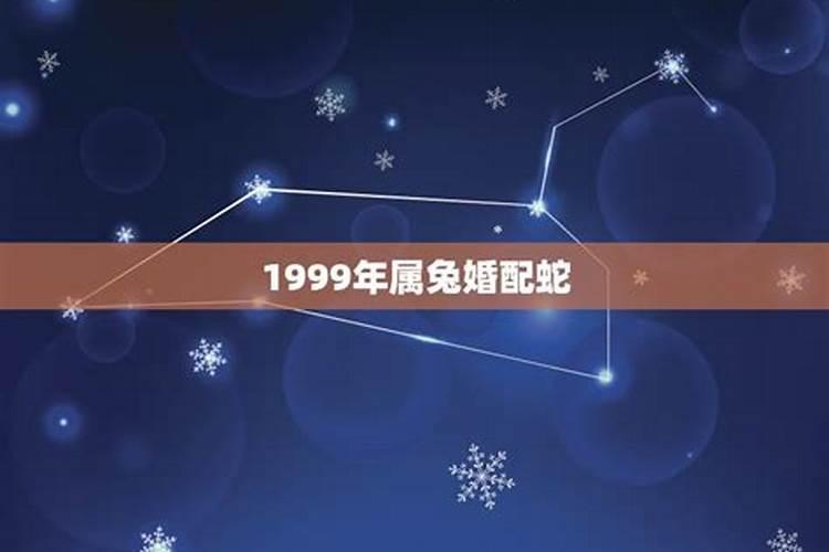 1999年属兔男婚配蛇