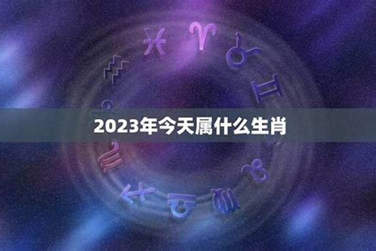 今天属什么生肖2020年1月11日