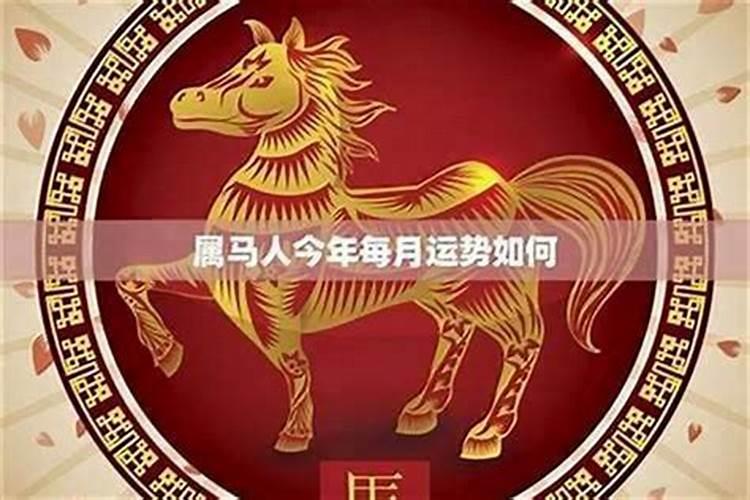 属马运势2023年运势每月运势