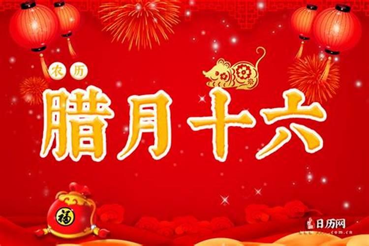 属鼠今年多大岁数呀