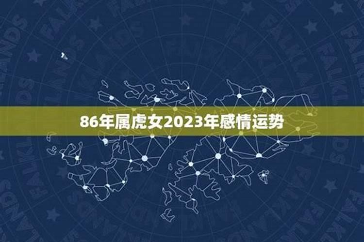 1986年2023年感情方面