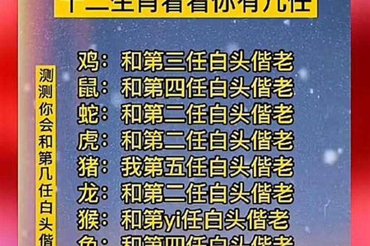 80年属什么生肖的？几岁