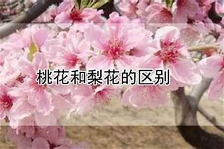 大运未土冲婚姻宫以及年柱丑土是什么意思