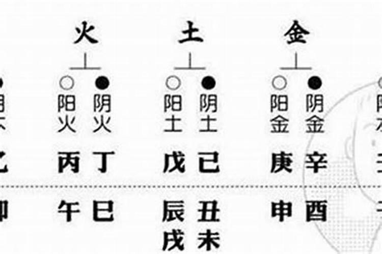 八字里哪个代表配偶