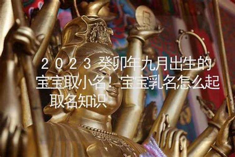 男孩的名字2023年出生乳名