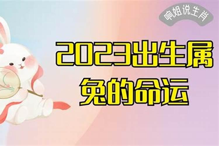 2023属兔的命运好不好