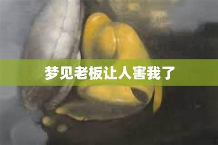 梦见老头害我