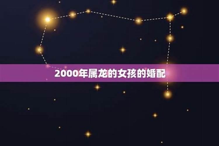 属2000年属龙人婚配