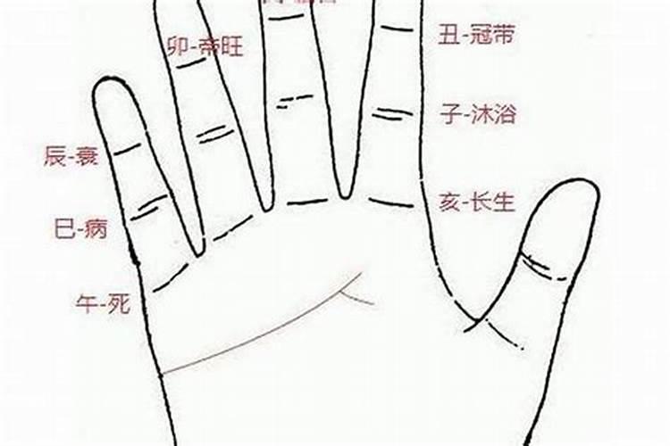 甲乙木人是什么意思