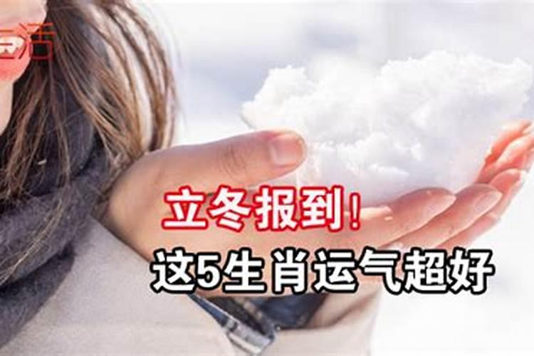 立冬后属啥的运气最好