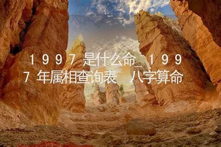 1997年属相什么命