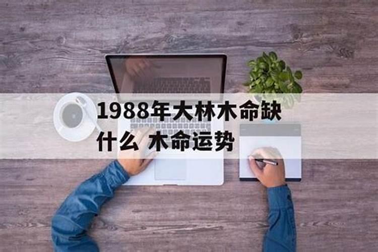 2021大林木运势