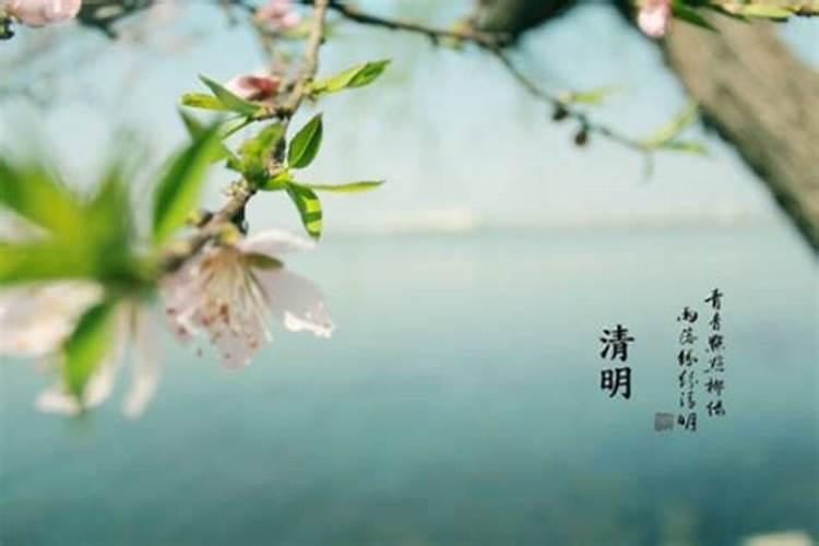 清明节是几倍