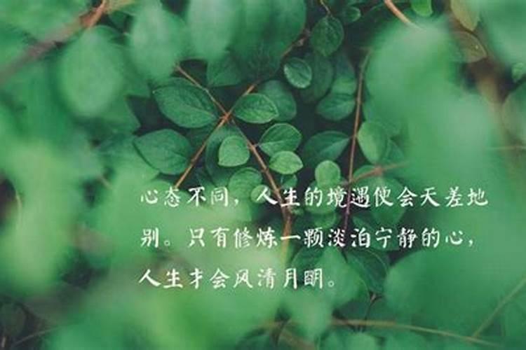 关于人生的说说短句