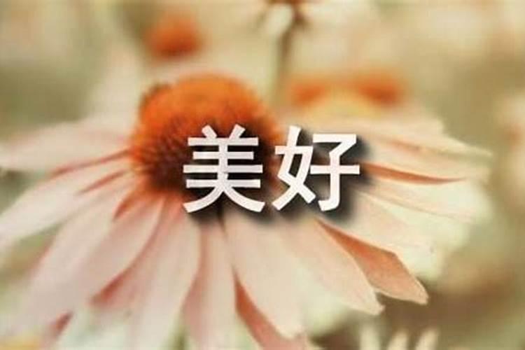 带期盼的名字