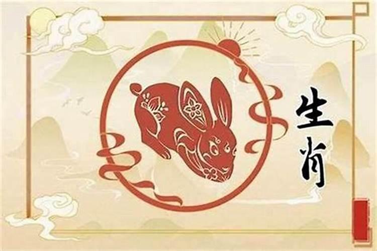 属兔今年贵人属相是几岁