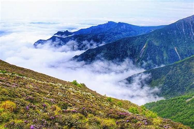 秦岭的最高峰