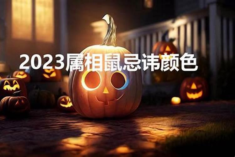 属鼠2023年什么颜色最吉利