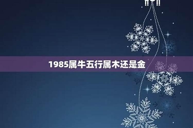 1980年生人到底是金命还是木命好