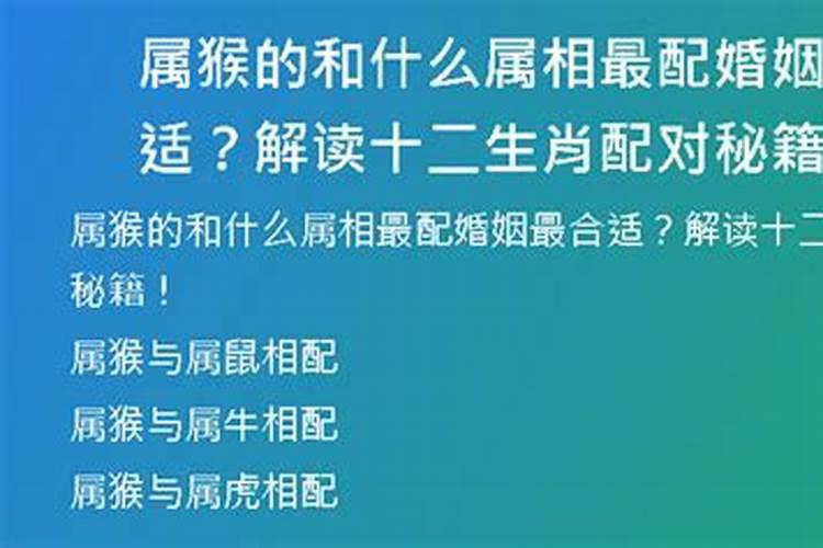 属猴的和什么属相最配婚姻最合适女