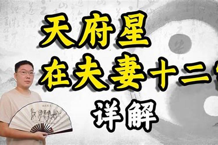 夫妻宫天府旺什么意思