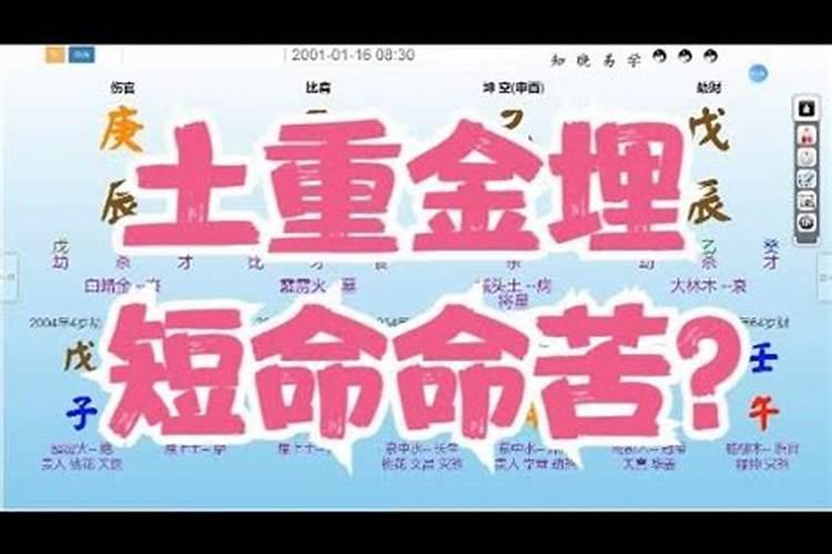 八字算命短寿准吗