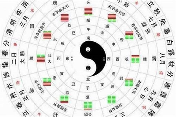 怎么看八字日柱