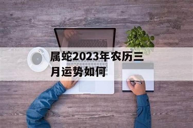 八三年冬天的出生猪2024年运势