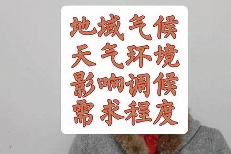 生辰八字中生在节气上怎么办