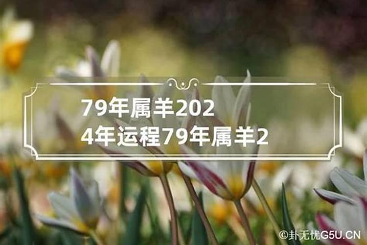 79年属羊的婚姻和命运