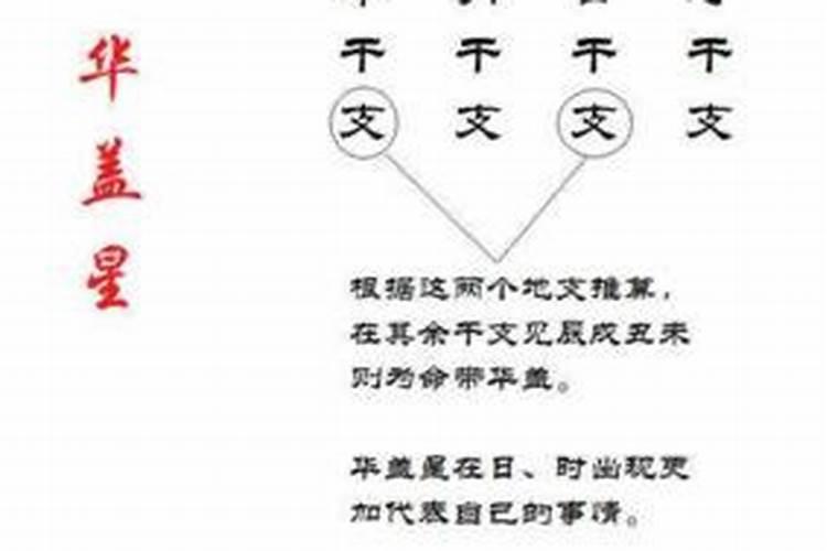 八字格局伤官格局什么意思