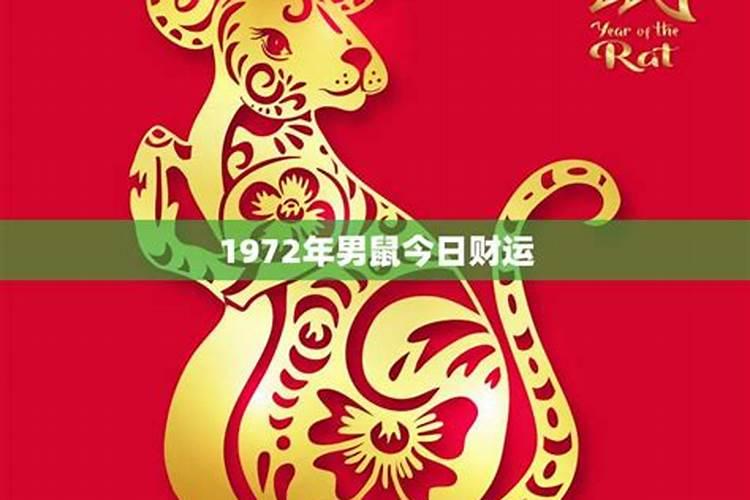 1972属鼠今天财运好不