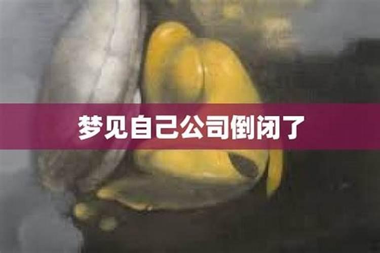 梦见公司倒闭了