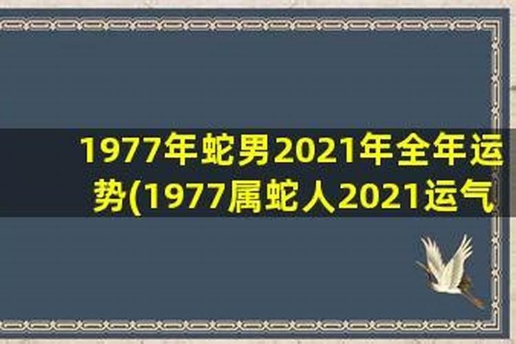 1977年属蛇男2021年的运势和婚姻女