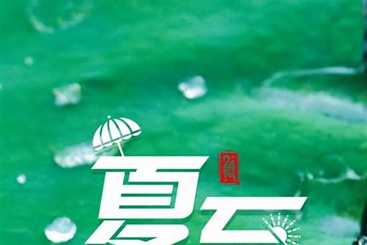 夏至是第几节气