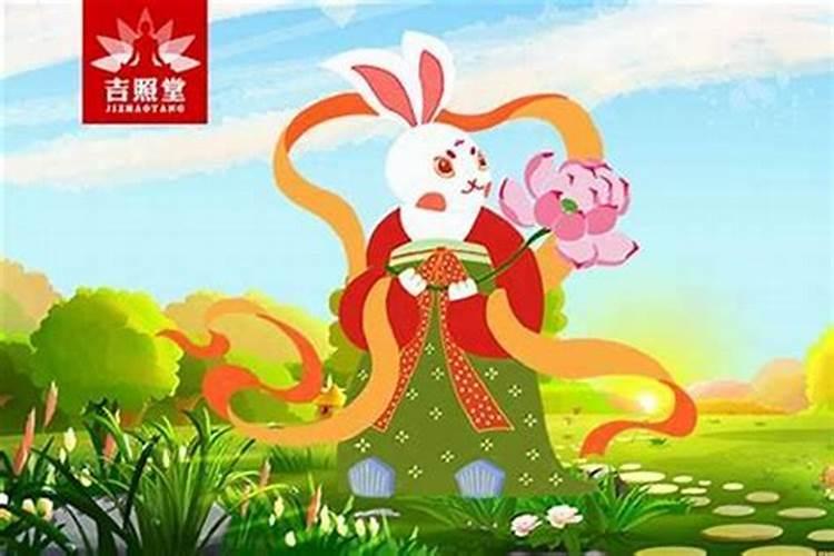 今年属兔穿什么颜色好