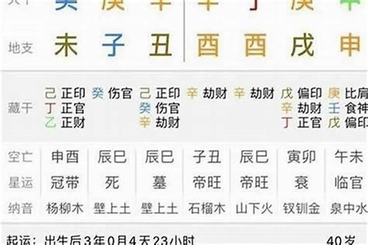 丁未日辛丑时富八字