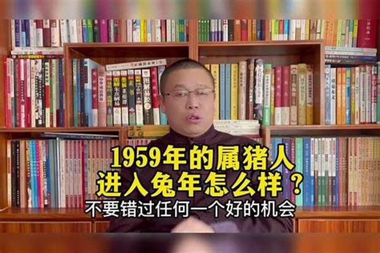 59年出生属什么