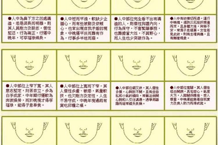 学看面相算命有用吗