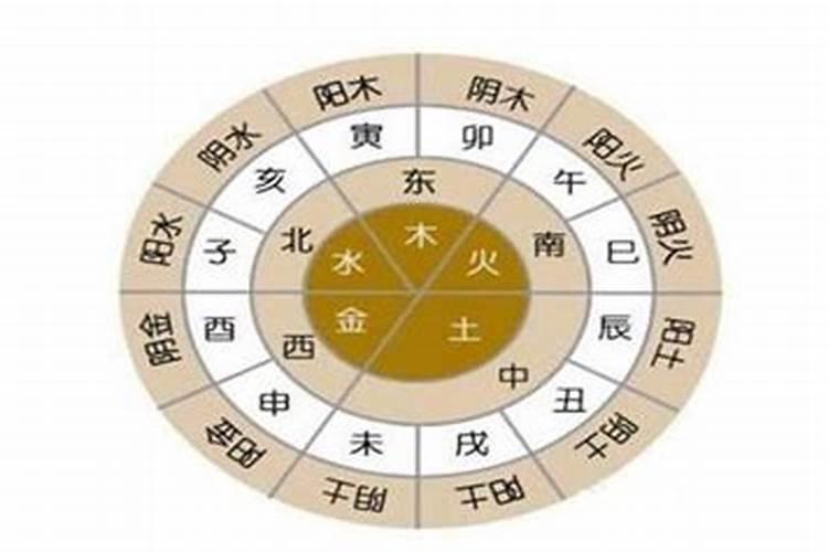 丙子日柱命巨富八字案例