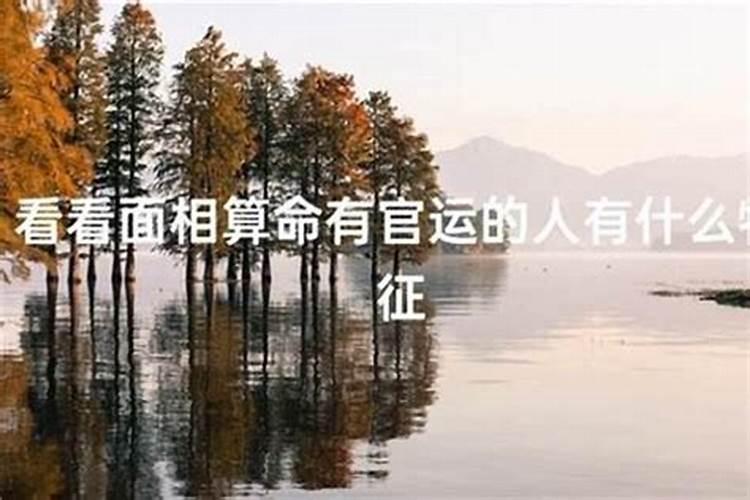 算命的说的官运是啥意思