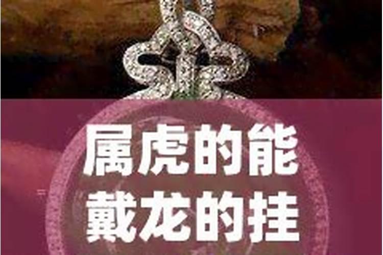 属蛇佩戴虎件好吗