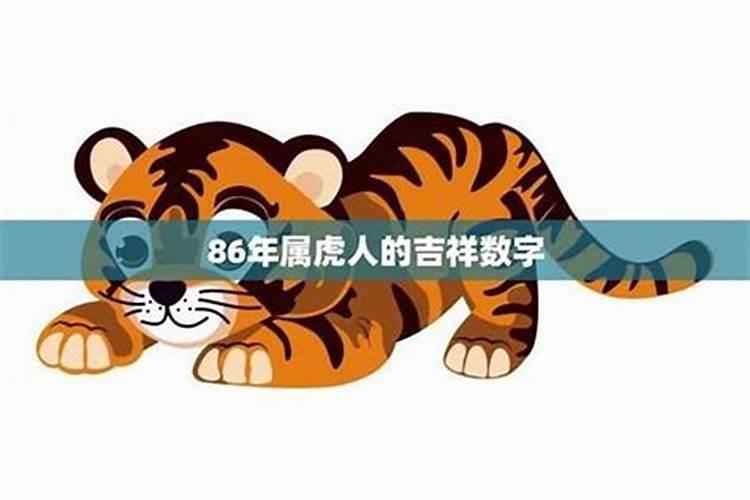 86年属虎的2023年怎么样