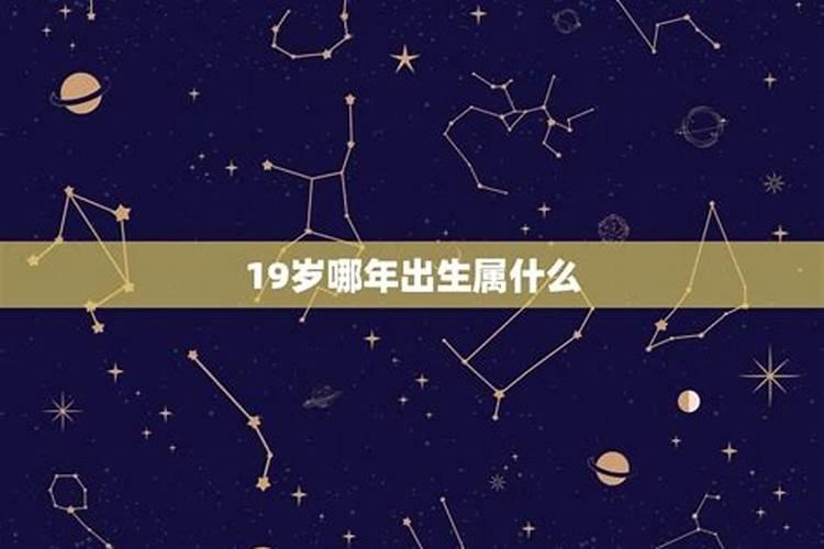 今年19岁属什么