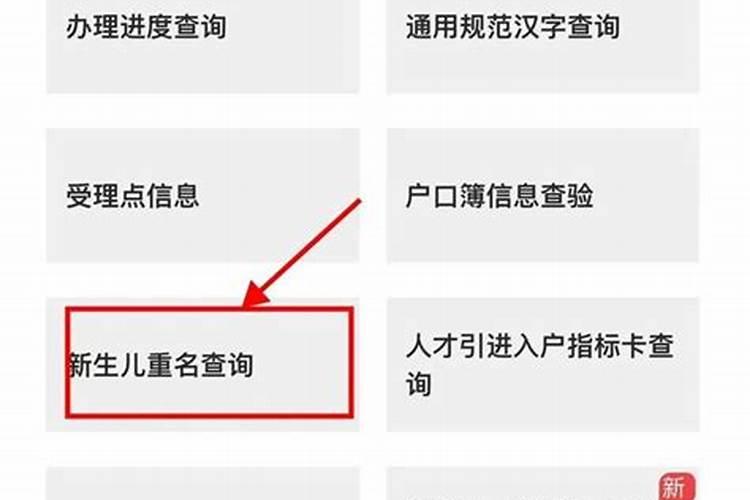 湖北新生儿重名查询